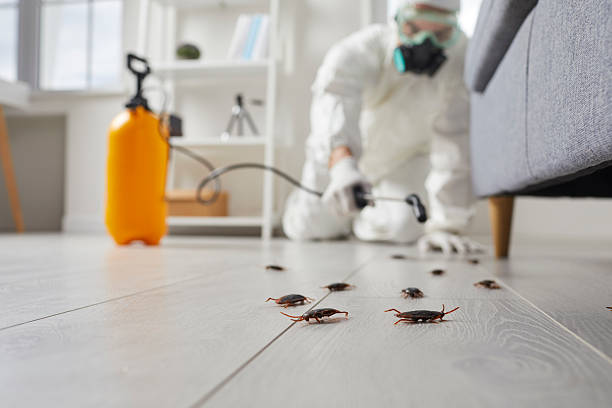 Commercial Kitchen Cockroach Control in Albertson
